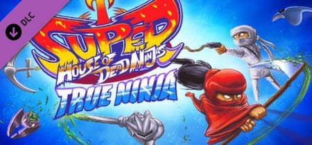 Super House of Dead Ninjas Steam Charts and Player Count Stats