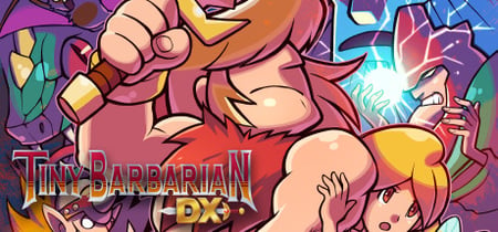 Tiny Barbarian DX banner