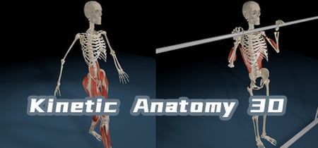 Kinetic Anatomy 3D banner