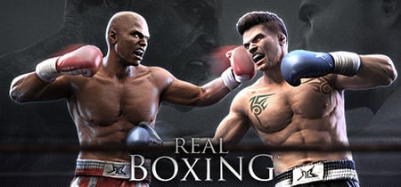 Real Boxing™ banner