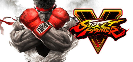 Street Fighter V banner