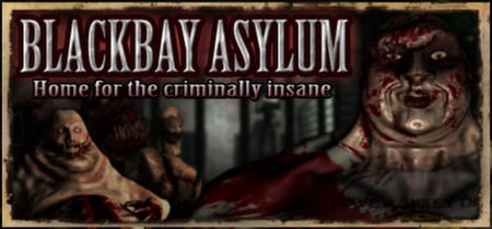 Blackbay Asylum banner