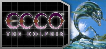 Ecco the Dolphin™ banner