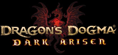 Dragon's Dogma: Dark Arisen banner