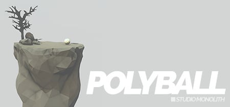 Polyball banner