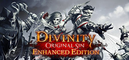 Divinity: Original Sin - Enhanced Edition banner