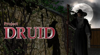 Project Druid - 2D Labyrinth Explorer- banner