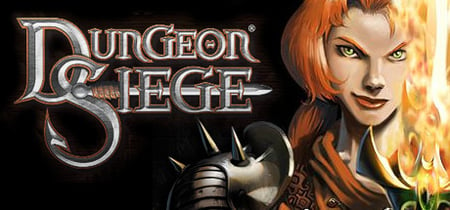 Dungeon Siege banner