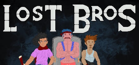 Lost Bros banner