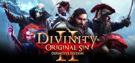 Divinity: Original Sin 2 - Definitive Edition banner