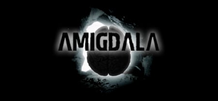 Amigdala banner