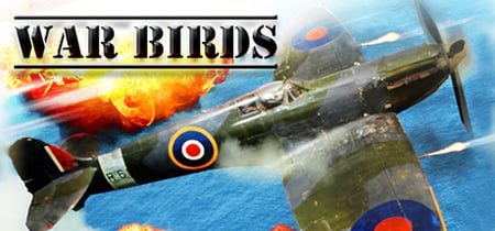 War Birds: WW2 Air strike 1942 banner