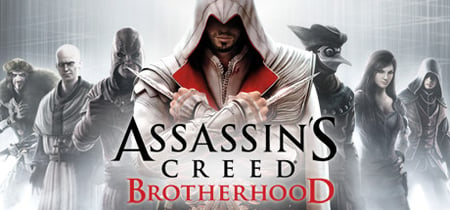 Assassin’s Creed® Brotherhood banner