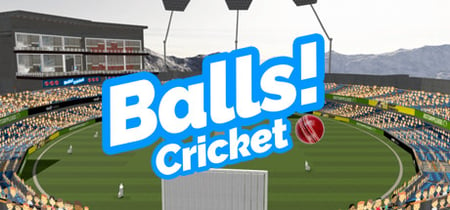 Balls! Virtual Reality Cricket banner