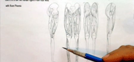Complete Figure Drawing Course HD: 174 - The Muscles of the Pelvis & Leg - Part 8 banner