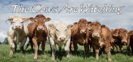 The Cows Are Watching banner