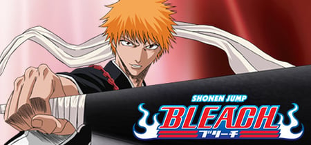 Bleach: Bleach 29 banner