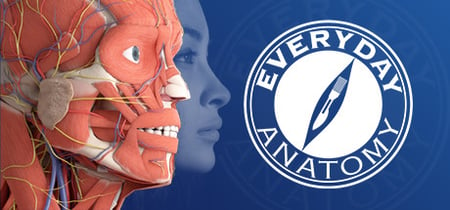 Everyday Anatomy VR banner