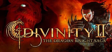 Divinity II - The Dragon Knight Saga banner