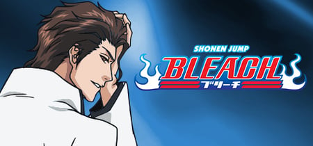 Bleach: Bleach 219 banner
