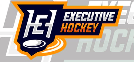 Executive Hockey banner