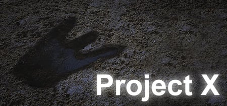 Project X banner