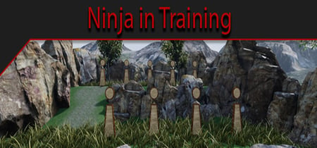 Ninja in Training banner