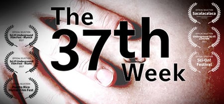 The 37th Week banner