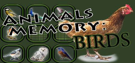 Animals Memory: Birds banner