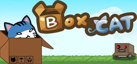 BoxCat banner