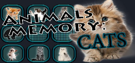 Animals Memory: Cats banner