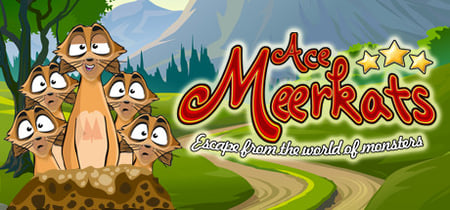 Ace Meerkats banner