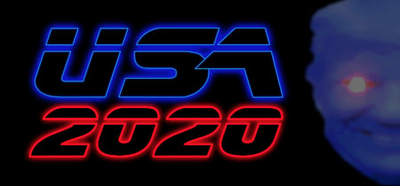USA 2020 banner