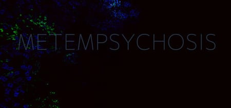 Metempsychosis banner