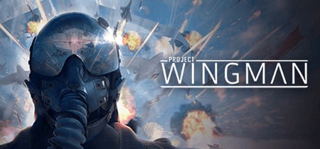 Project Wingman banner