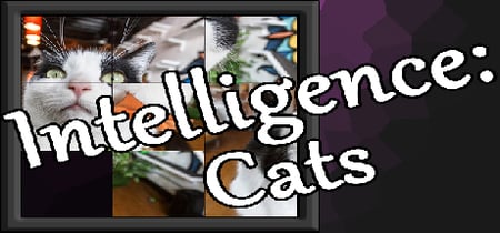 Intelligence: Cats banner
