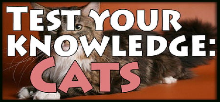 Test your knowledge: Cats banner