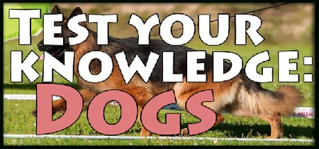 Test your knowledge: Dogs banner
