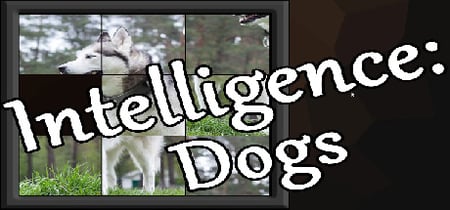 Intelligence: Dogs banner