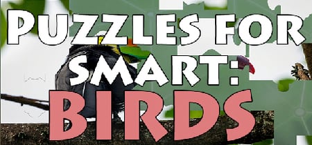 Puzzles for smart: Birds banner