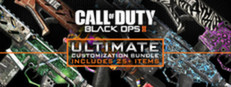 Call of Duty®: Black Ops II - Paladin Personalization Pack Steam Charts and Player Count Stats