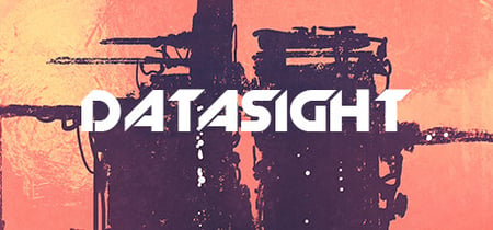 DATASIGHT banner