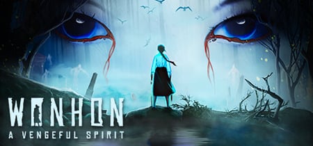 Wonhon: A Vengeful Spirit banner