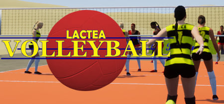 Lactea Volleyball banner