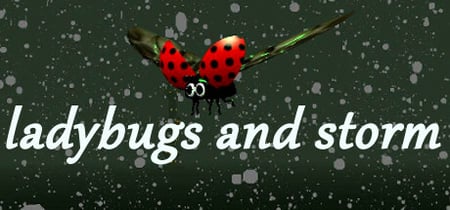 Ladybugs and Storm banner