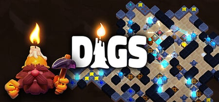Digs banner