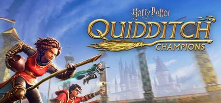 Harry Potter: Quidditch Champions banner