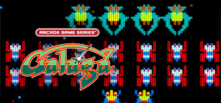 ARCADE GAME SERIES: GALAGA banner