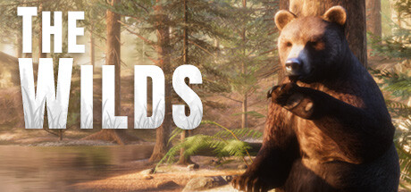 The WILDS banner