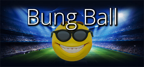Bung Ball banner